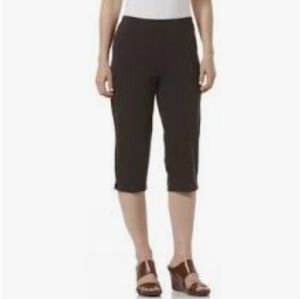 INGREDIENTS Brown Women's Capris Size 6